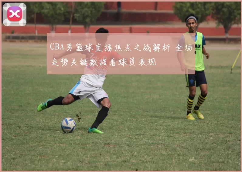 CBA男篮球直播焦点之战解析 全场走势关键数据看球员表现