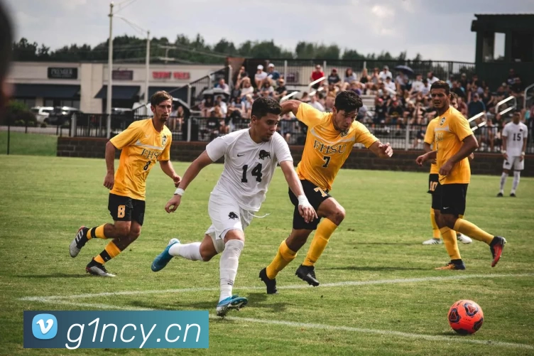 多媒体互动体验